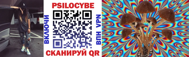 Псилоцибиновые грибы Cubensis  Вольск 