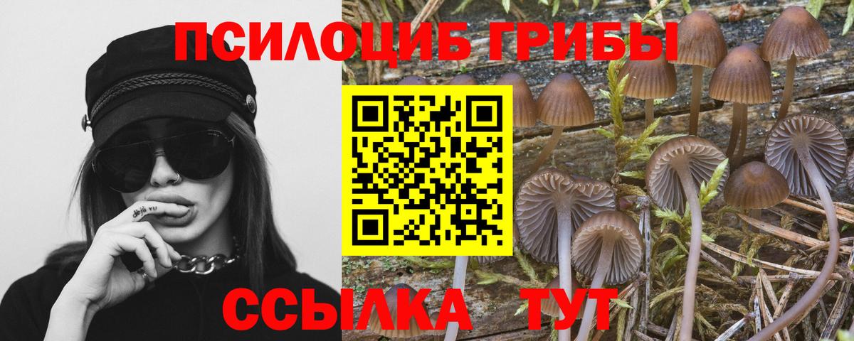 Галлюциногенные грибы мухоморы Вольск